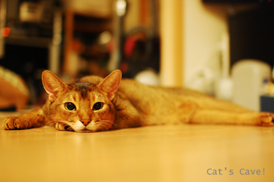 120808_01b.jpg