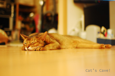 120808_02b.jpg