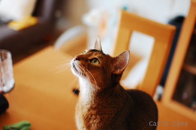 120808_04b.jpg